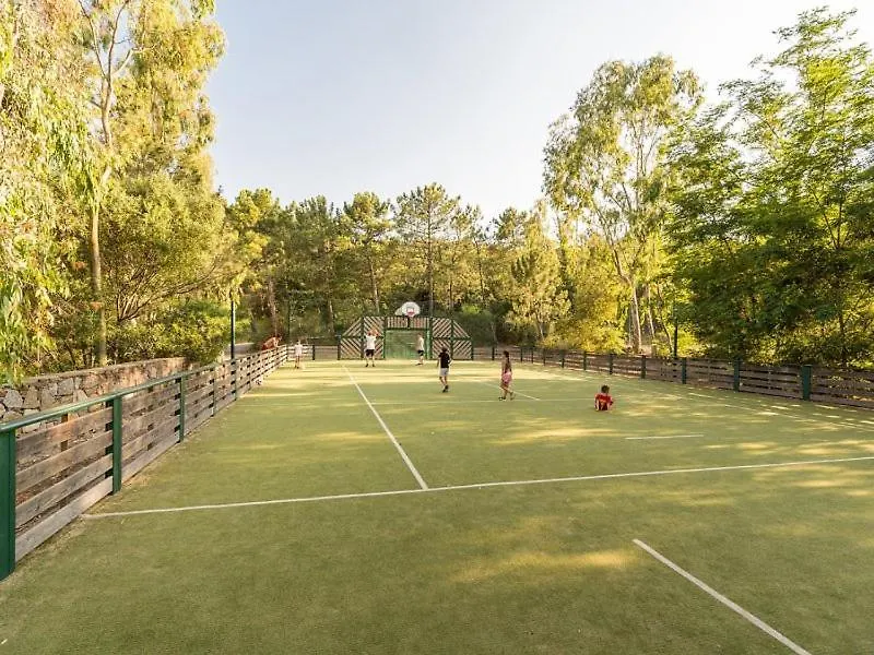 Les Restanques Bruyeres 2103 Proche Piscine Apartment Grimaud