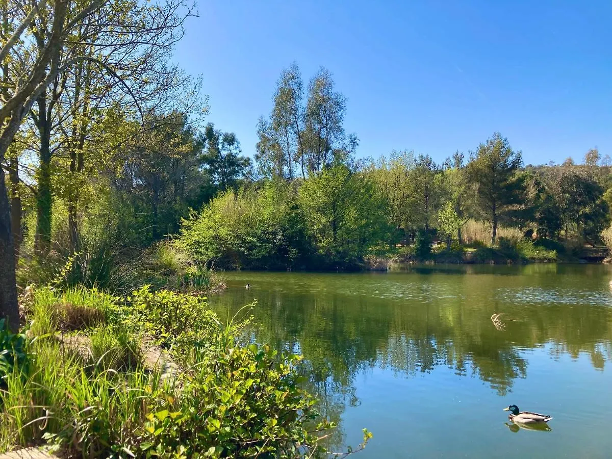 Les Restanques Bruyeres 2103 Proche Piscine Apartment Grimaud 0*,  France
